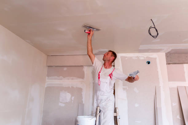  Eagle Grove, IA Dry wall and painting Pros